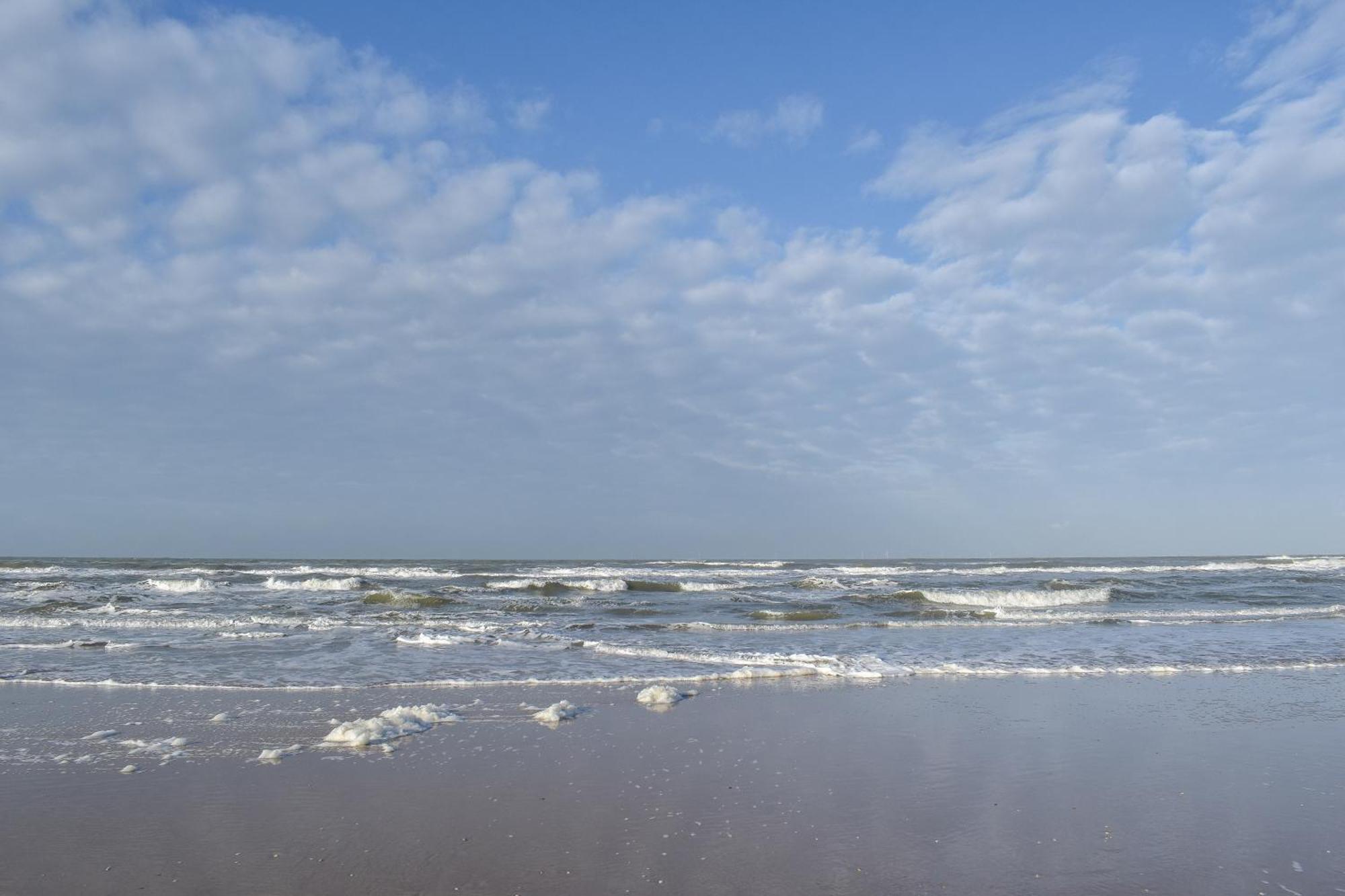 Strandhuisjes Zoomers Aan Zee Castricum Eksteriør billede